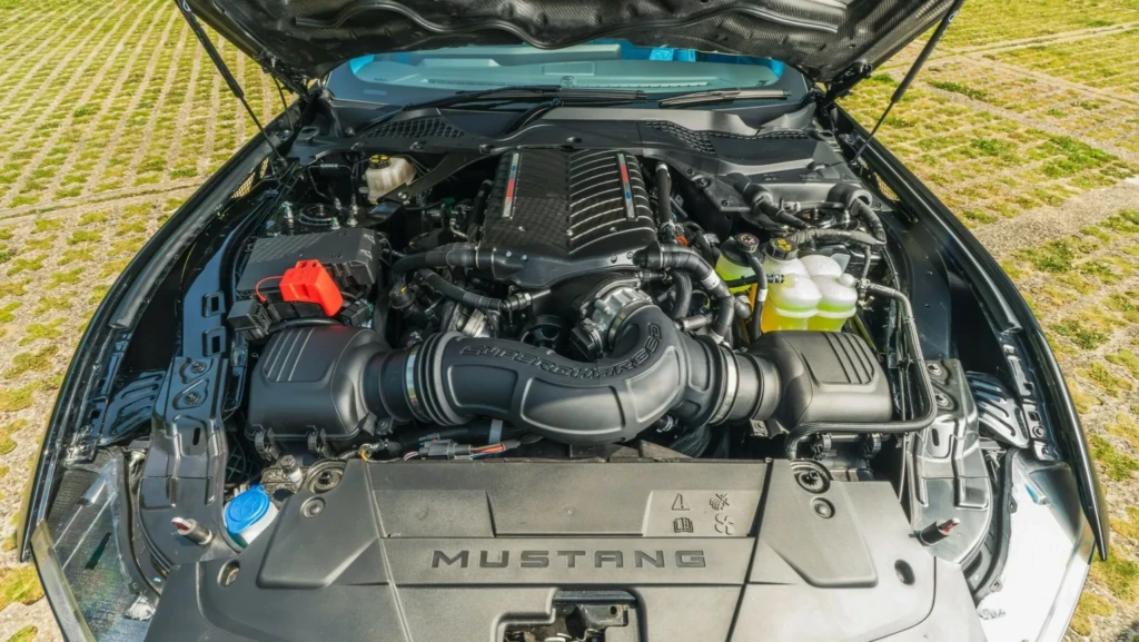 Mustang CS800DH (двигун)