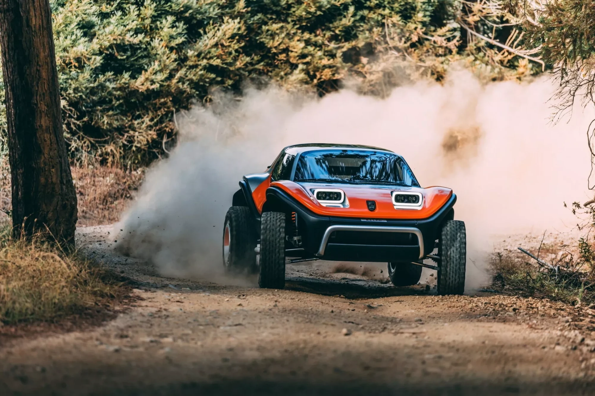 Meyers Manx LFG багги