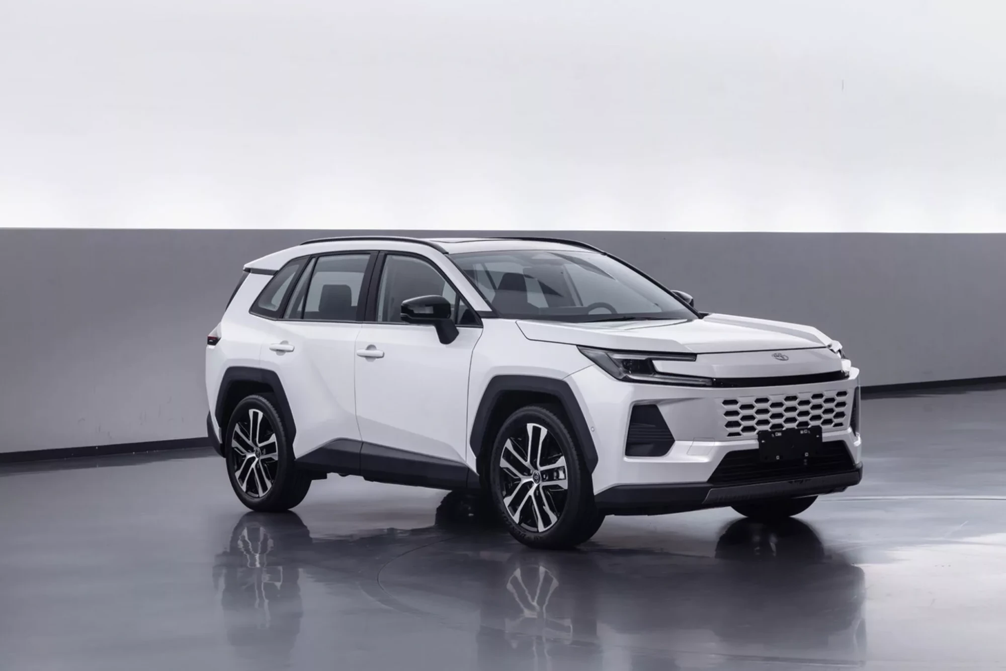 Toyota RAV4 Wildlander Китай