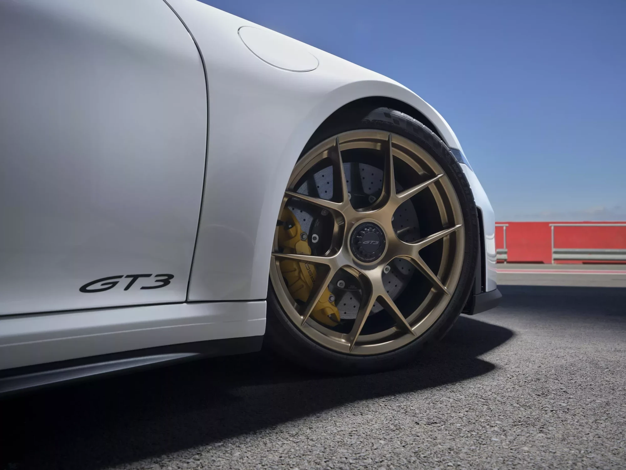 шины Pirelli для Porsche 911 GT3