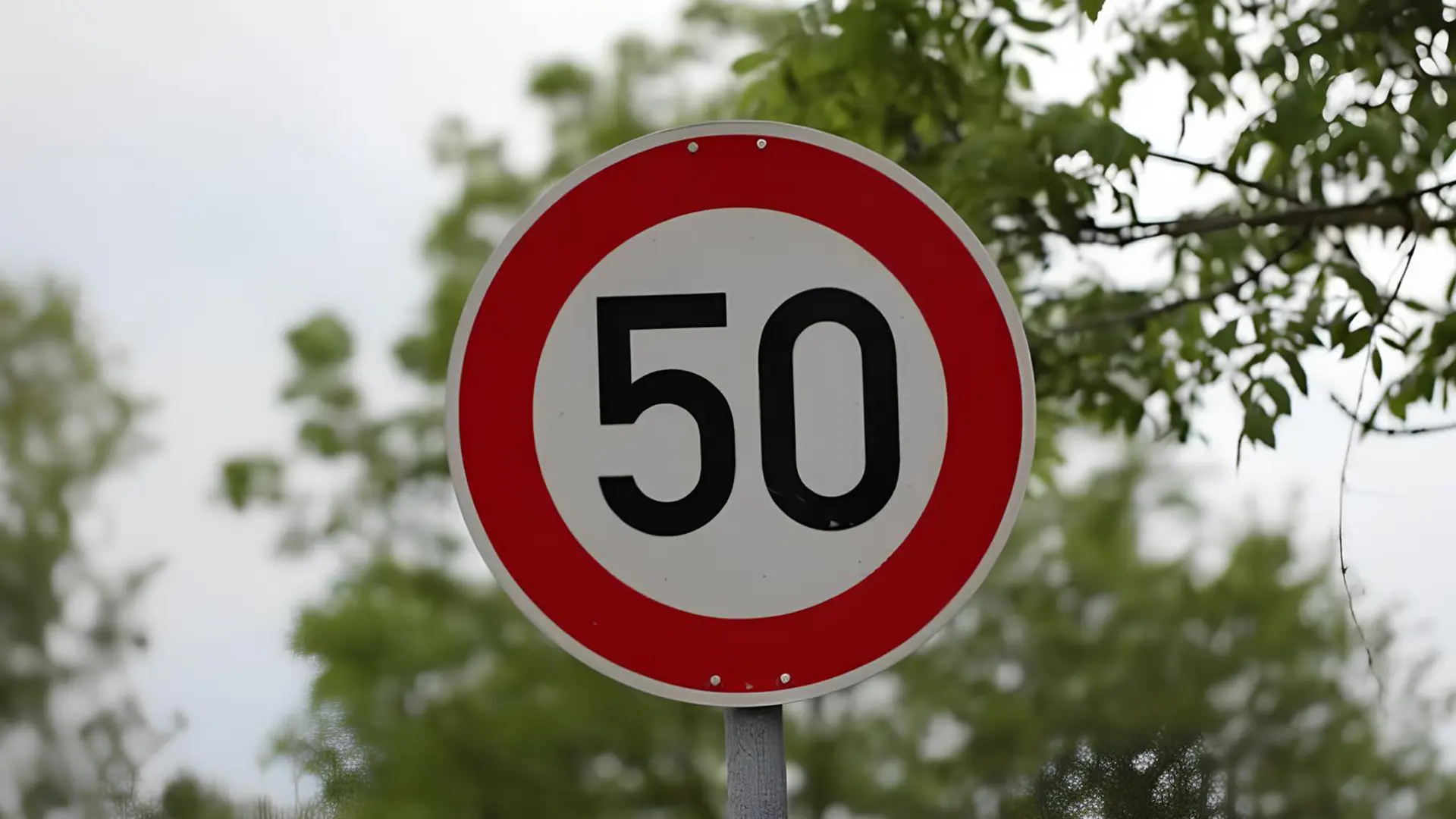 Дорожній знак обмеження швидкості 50 км/год на тлі дерев