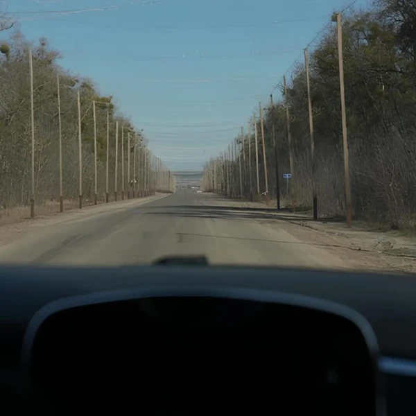 У Сумах дороги частково накриють антидроновими сітками